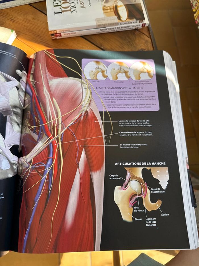 Le Larousse médical - photo numéro 7