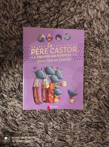 Livre les histoires du père Castor