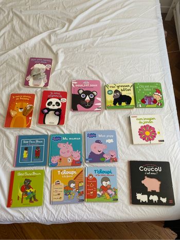 Lot de livres