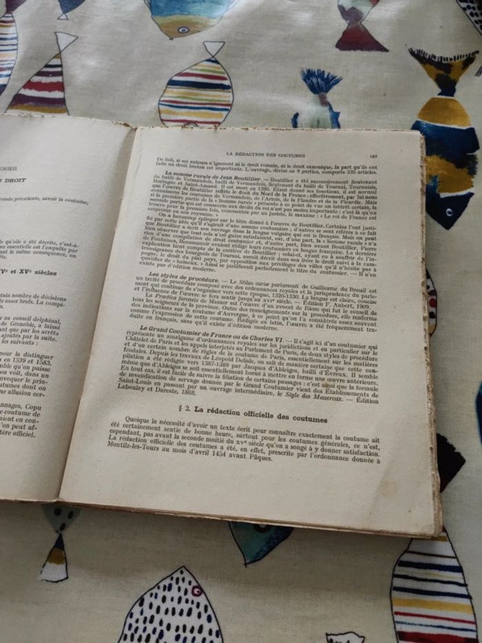 manuel d'histoire du droit français - photo numéro 2