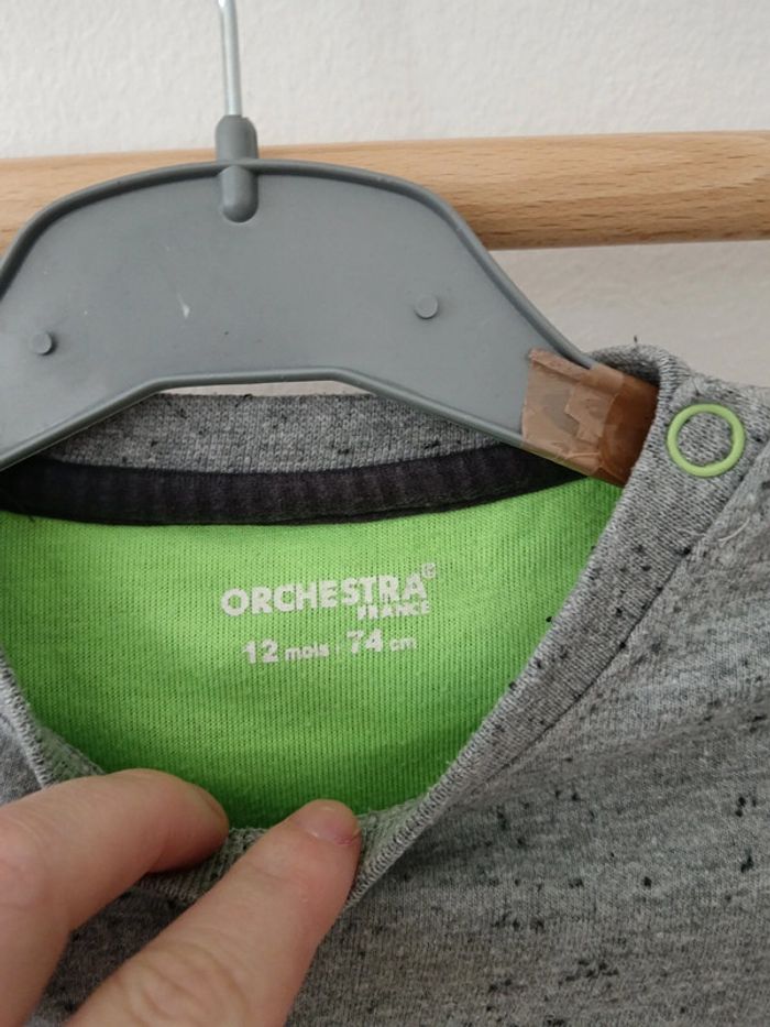 Pulls orchestra dinausaure - photo numéro 4