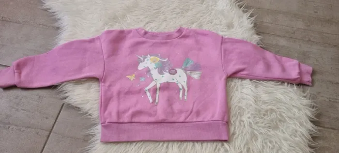 Pull Licorne