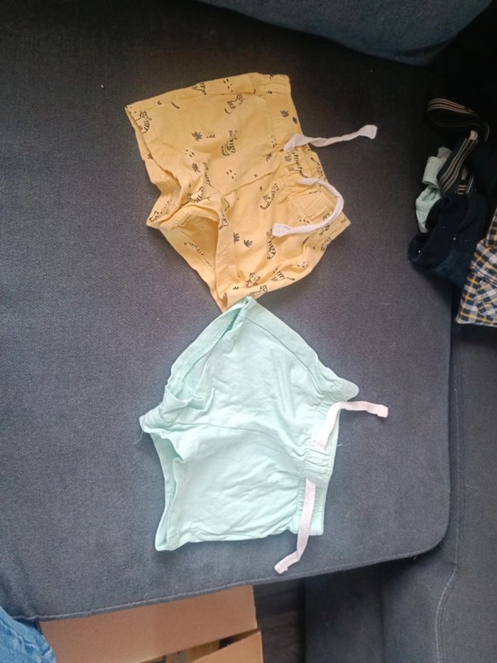 Lot shorts