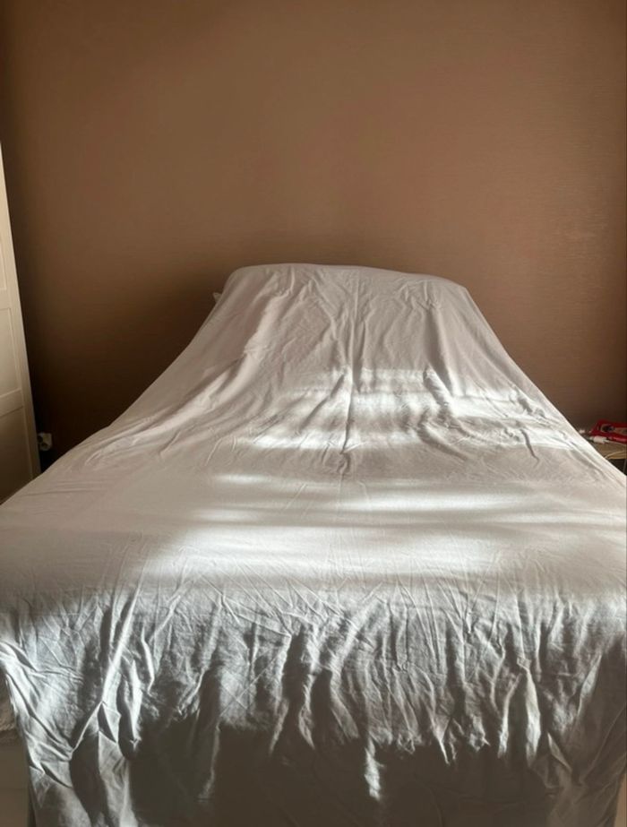 Draps house + taies d’oreillers gris LaRedoute - photo numéro 2