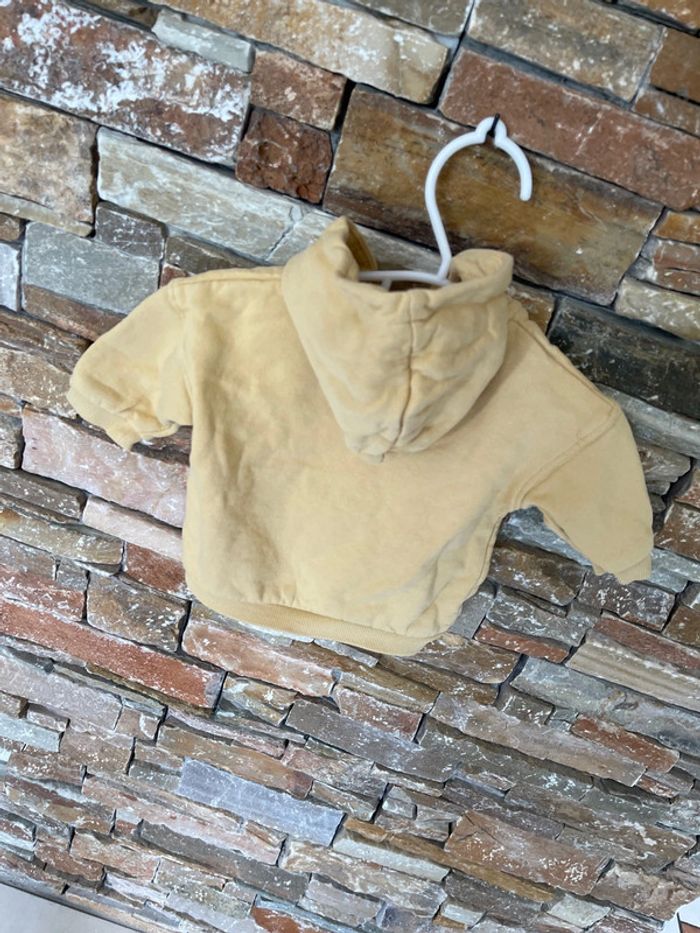 Veste capuche - photo numéro 3