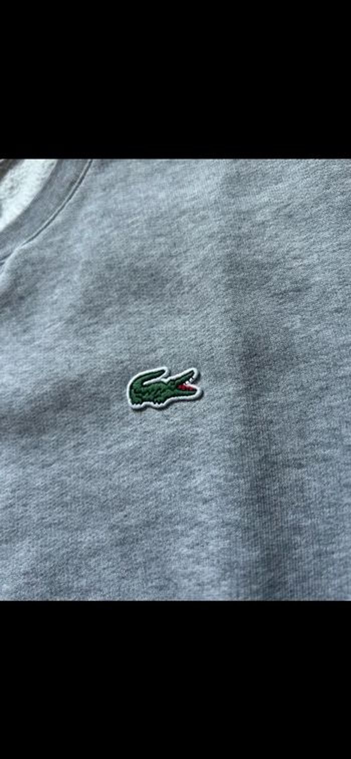 Pull Lacoste gris - photo numéro 2