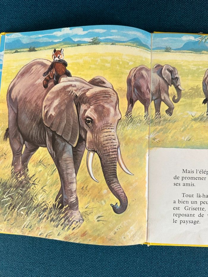 Beau livre ancien Pit en Afrique panda roux voiture jaune Robert Dallet voyage - photo numéro 5