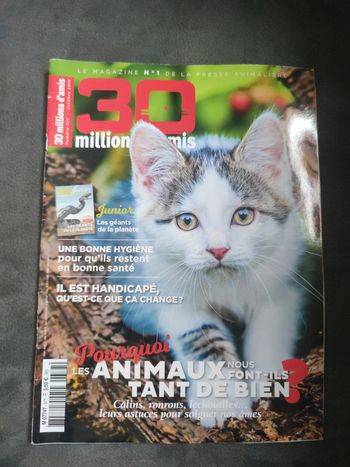 Magazine 30 millions d'amis numéro 377 octobre 2019