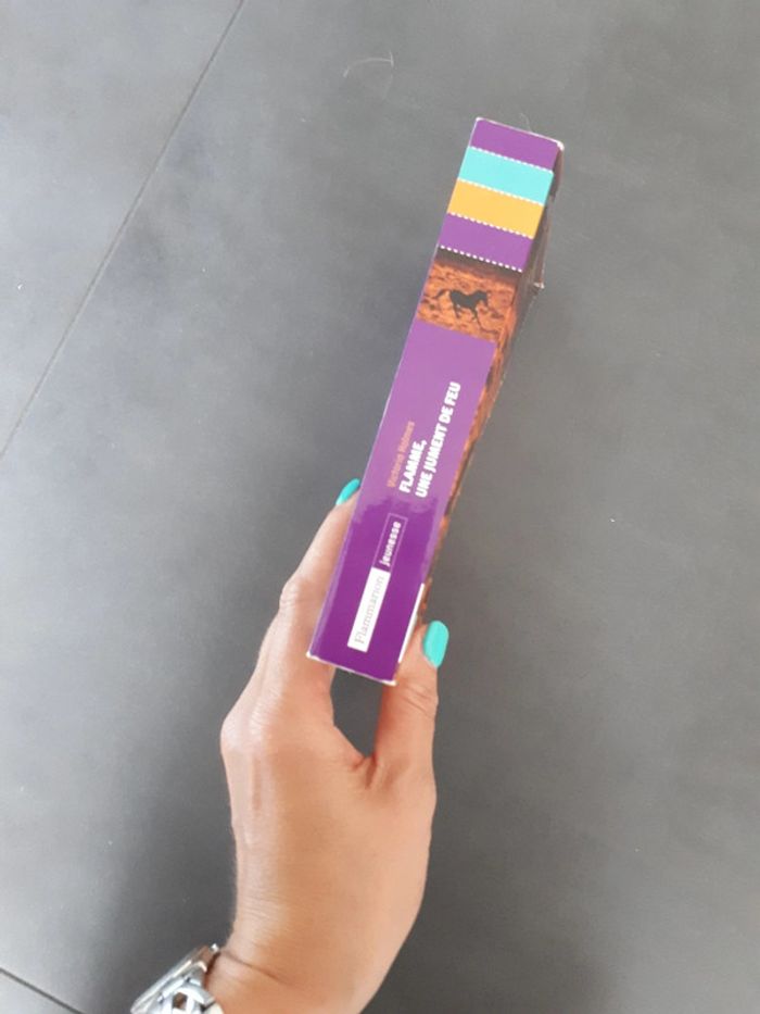 Flamme, une jument de feu, Victoria Holmes - photo numéro 2