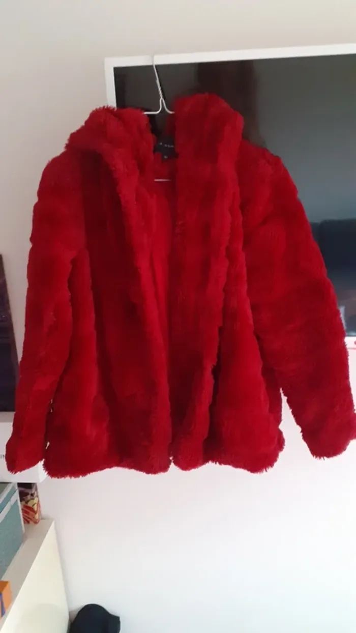Manteau en fourrure rouge - photo numéro 6