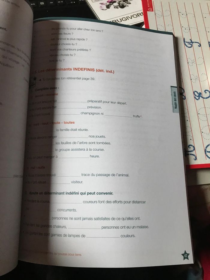Les secrets du français 6 exercices Plantyn - photo numéro 4