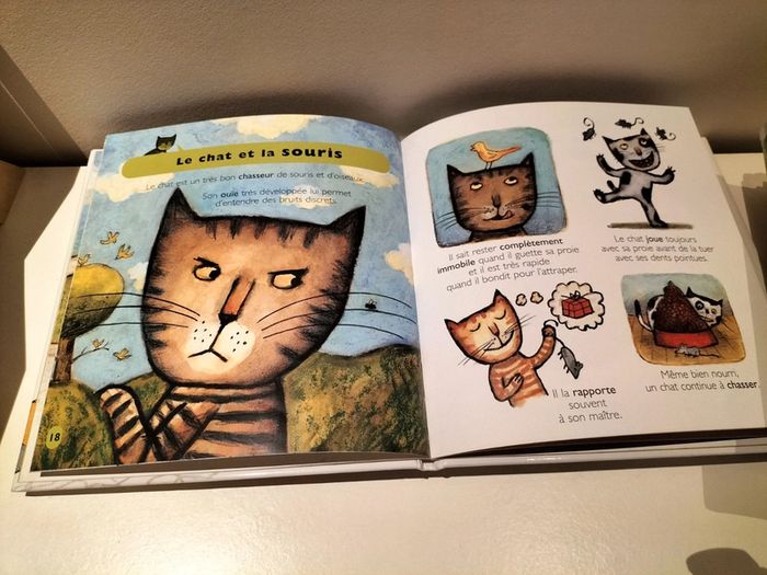 Lot de 8 documentaires Mes petites encyclopédies - photo numéro 14