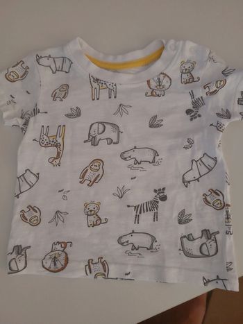 Tee shirt motif jungle 68cm