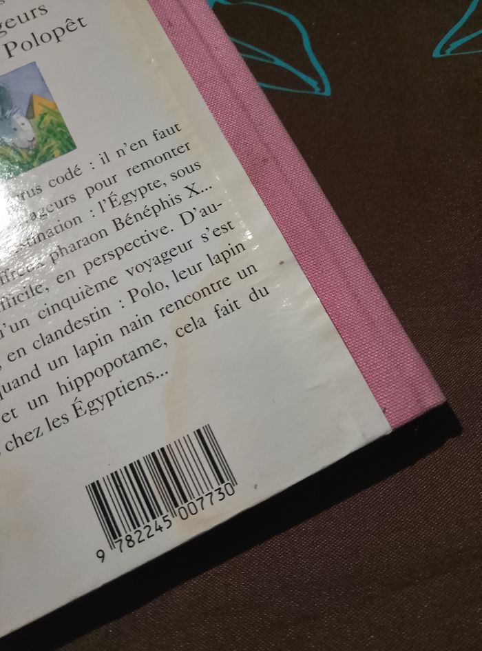 Les 4 voyageurs - photo numéro 3