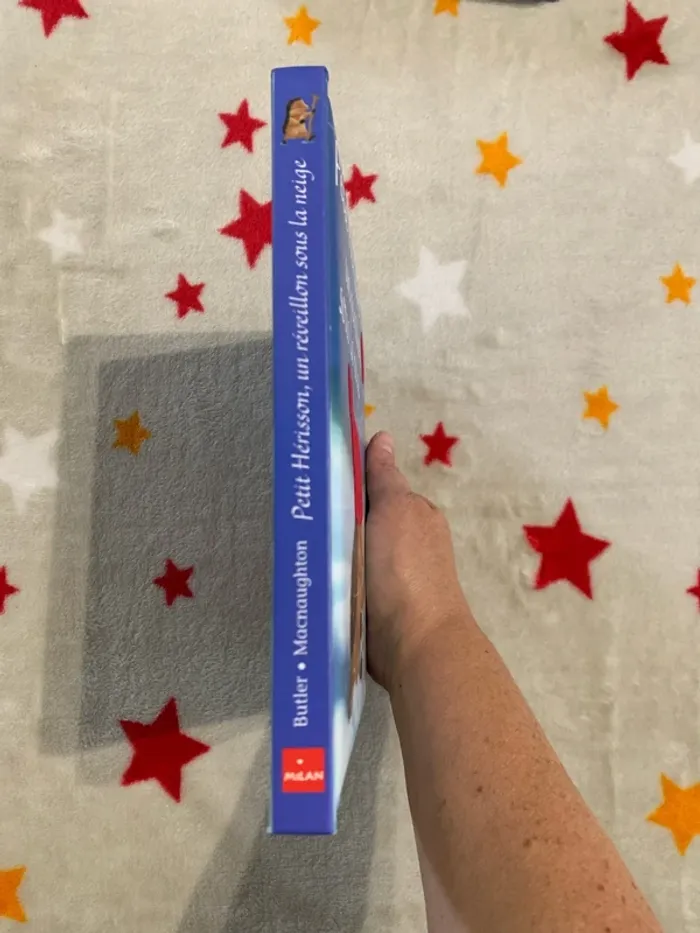 Petit Hérisson, un Réveillon sous la Neige - Livre à Toucher - Petit format - photo numéro 2