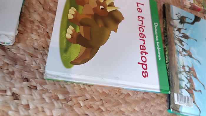 Lot de livres éducatifs sur les dinosaures - photo numéro 7