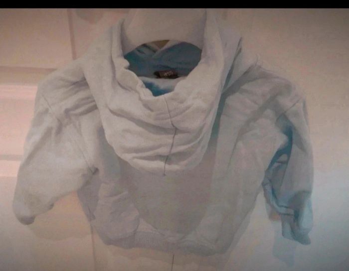 Sweat à capuche garçon disney mickey 18 mois - photo numéro 2