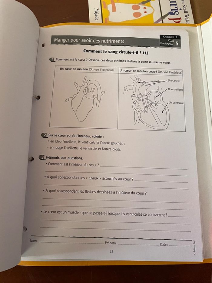 Le corps humain et l’éducation à la santé cycle 3 éditions sed - photo numéro 13