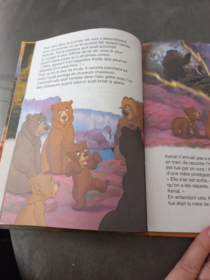 Club du livre mickey disney frère des ours - photo numéro 4