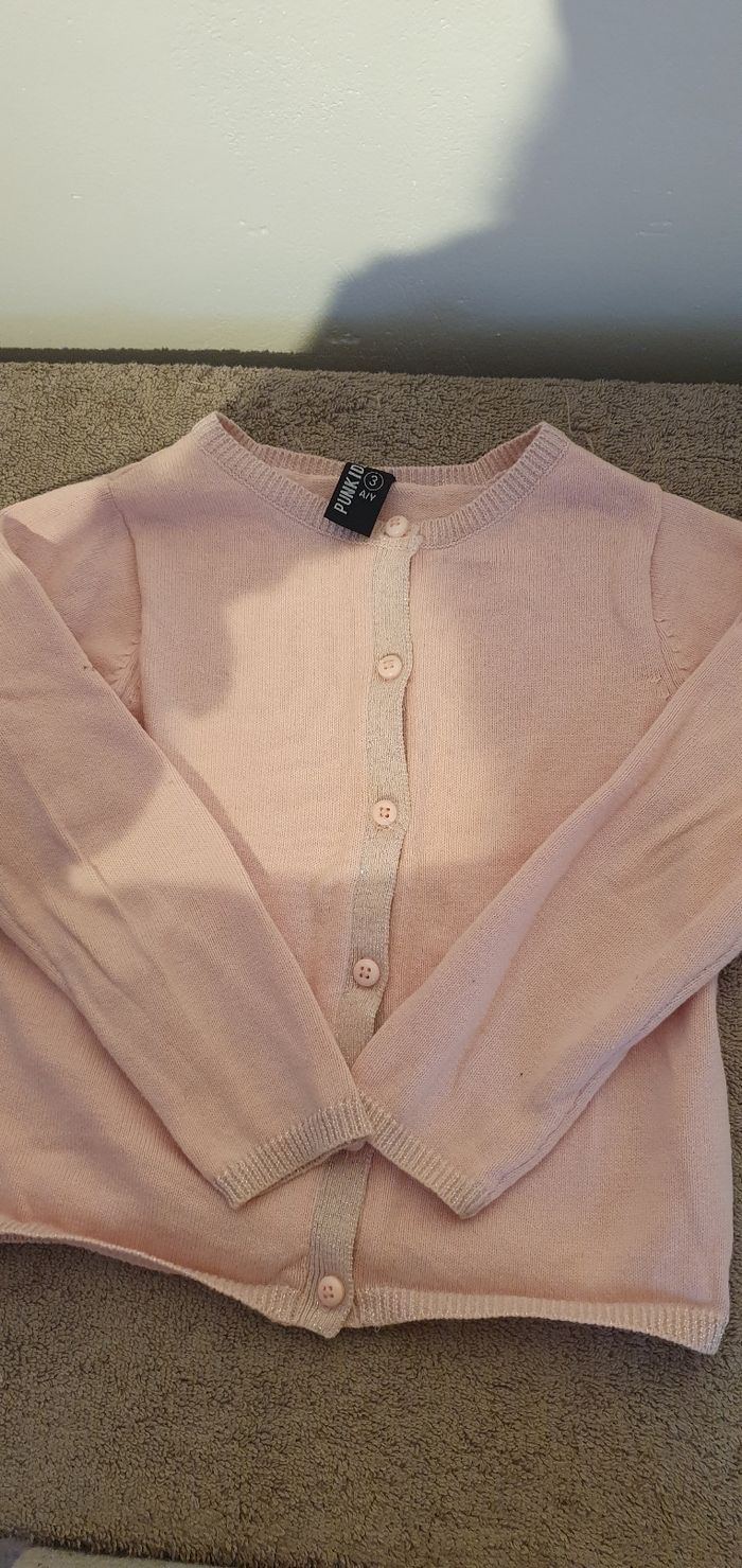 Lot vêtements fille du 18 mois au 3 ans - photo numéro 6