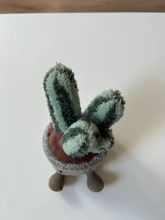 Plante cactus jellycat - photo numéro 2