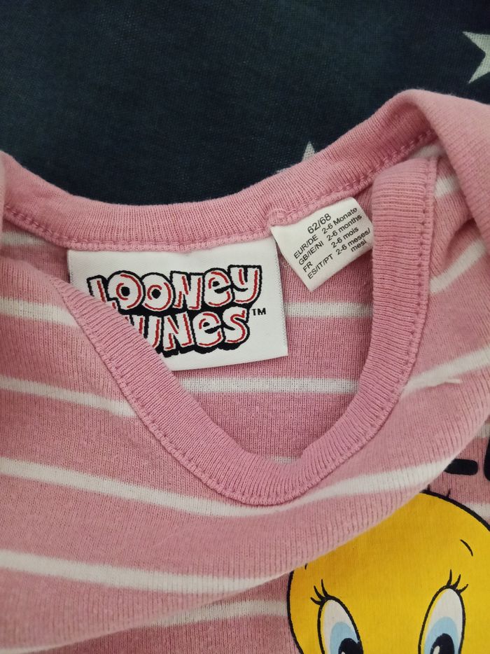 Bodie "Titi" _ 2/6 mois - photo numéro 2