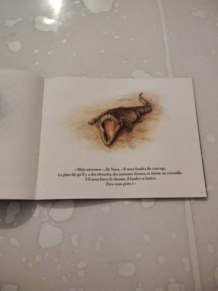 Livre Chasse aux Trésors - photo numéro 2
