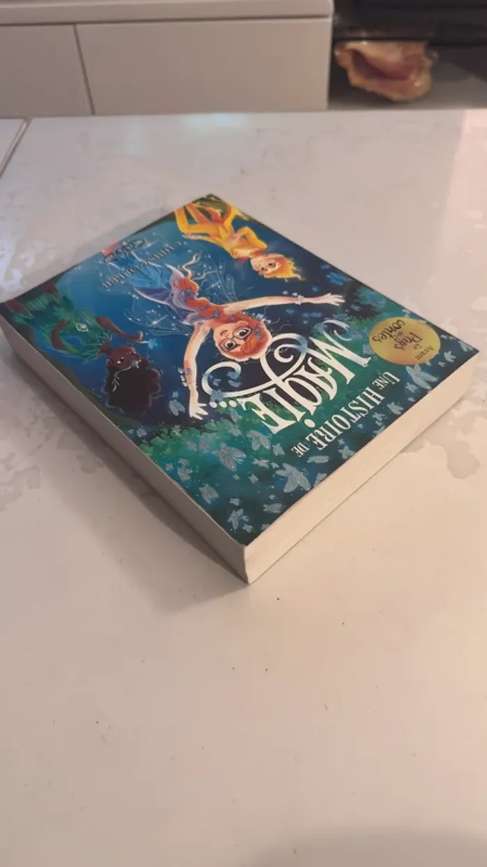 📚 Une Histoire de Magie – Chris Colfer - photo numéro 3