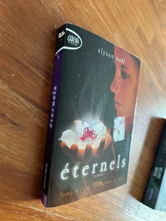 Livre éternels tome 5 - une étoile dans la nuit - photo numéro 2