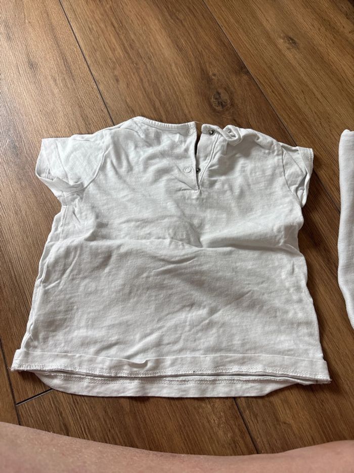 T-shirt gemo 24 mois - photo numéro 5