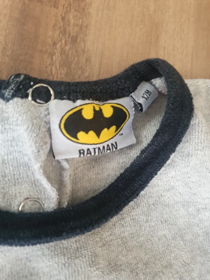 Batman - photo numéro 3