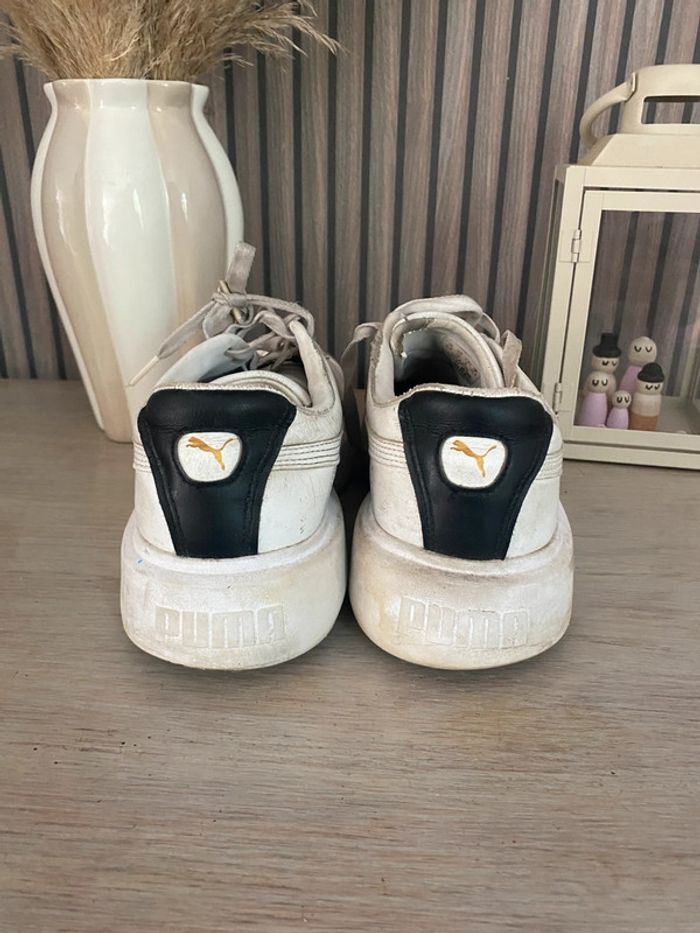Puma a retaper - photo numéro 3
