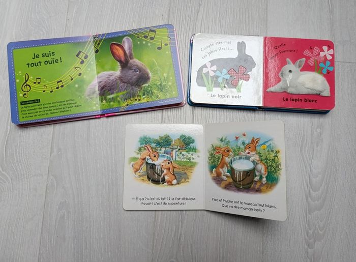 Lot 3 livres lapins - photo numéro 2