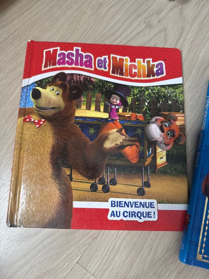 Lot de quatre livres Masha et Michka + 1 offert - photo numéro 6