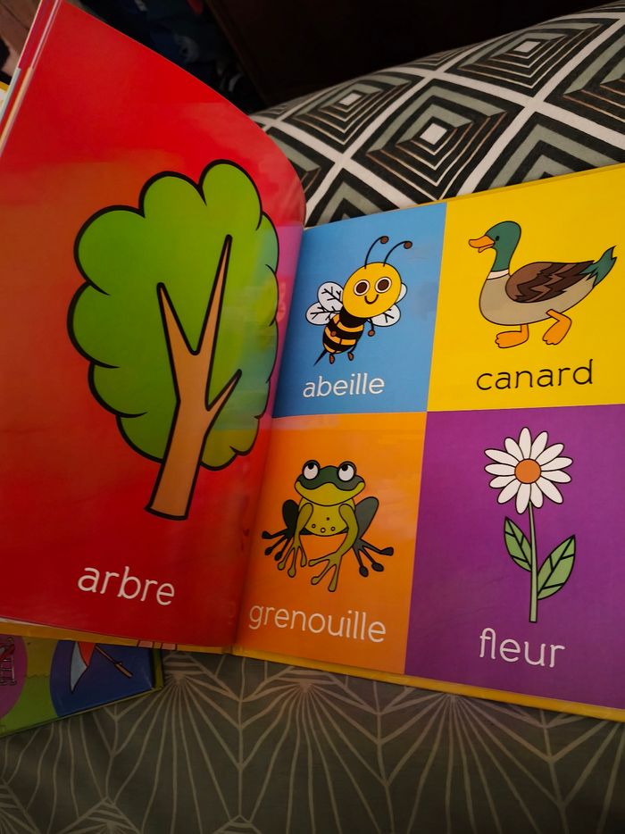 Livre mes premiers 100 mots très bon état - photo numéro 2