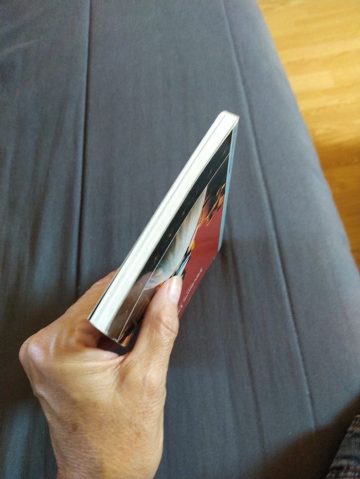 Divines Divas d'André Segond - photo numéro 5