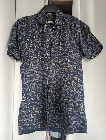Chemise bleue