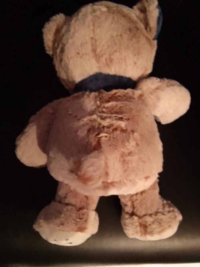 Peluche ourson - photo numéro 2