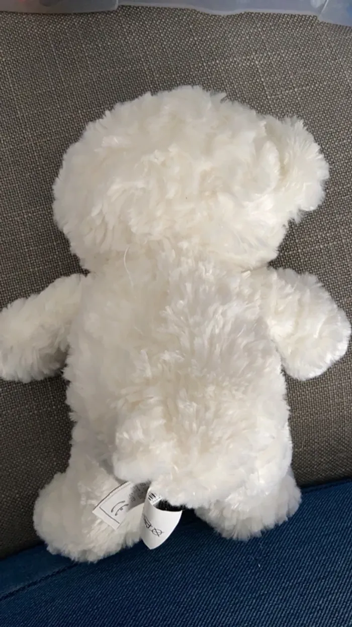 Ours histoire d’ours - photo numéro 2