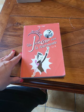 Livre une princesse dans la tourmente meg Cabot