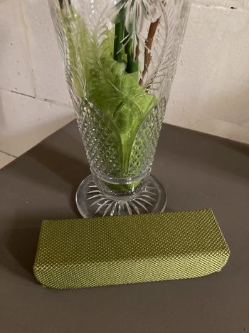 Étui à  lunettes vert