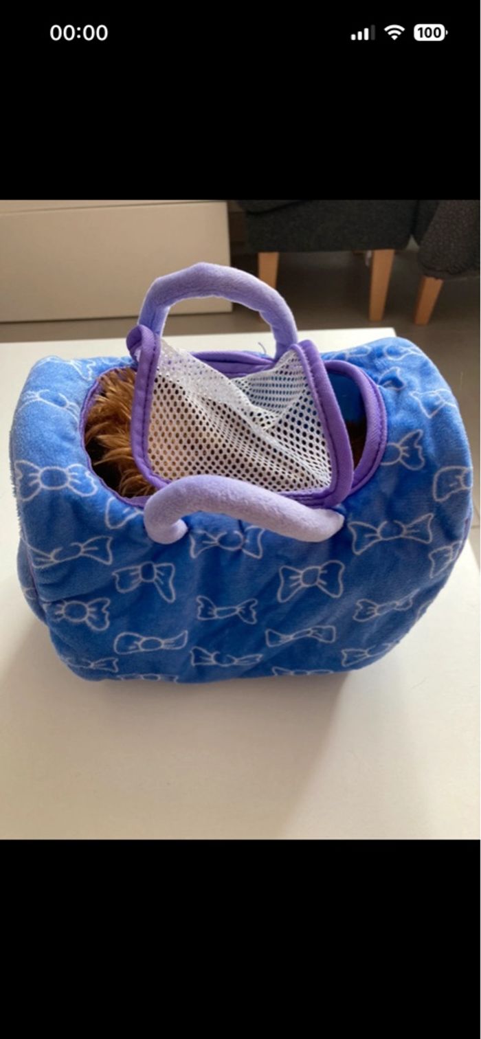 Petit chien modèle décoiffé et son panier/sac de transport - photo numéro 4