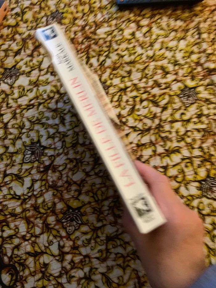 La fille de merlin - photo numéro 3