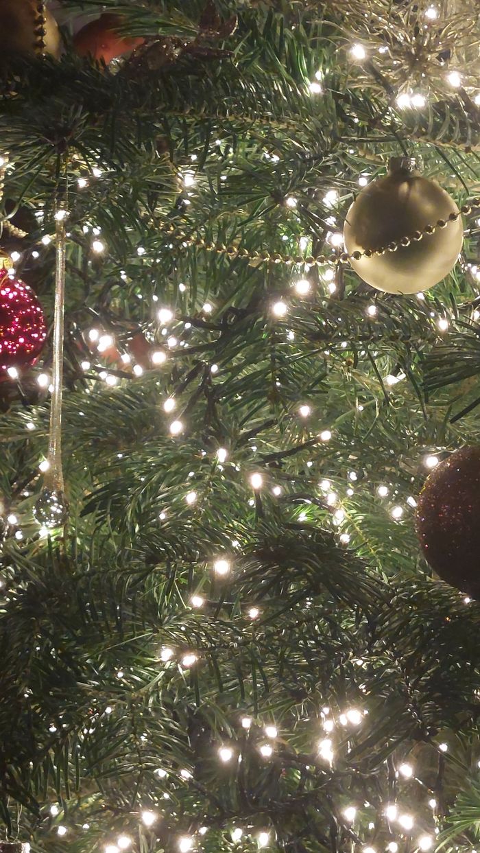 Macron sous le sapin