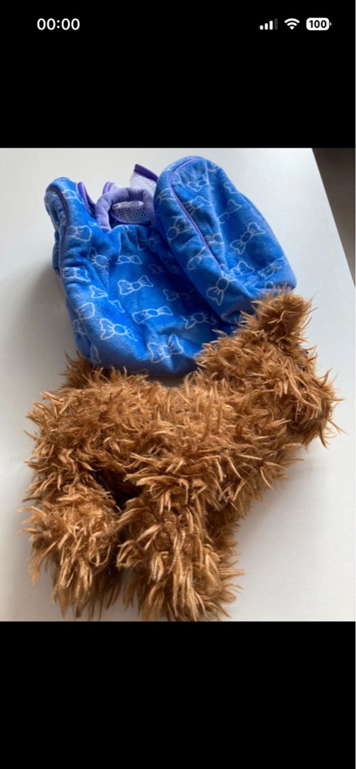 Petit chien modèle décoiffé et son panier/sac de transport - photo numéro 6