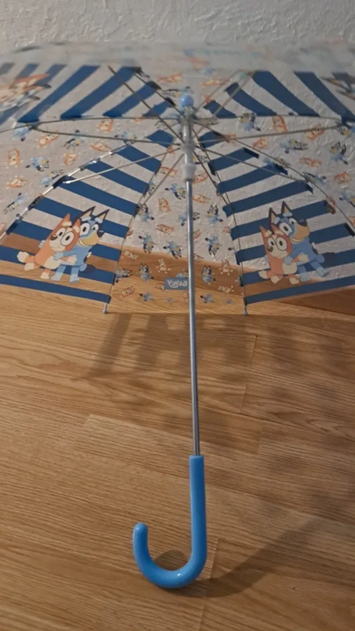 parapluie bluey - photo numéro 6