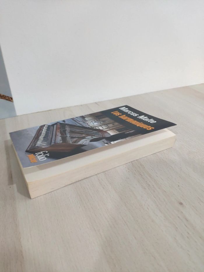 Livre pour policier Les harmoniques beau Danube bleu Marcus Malte - photo numéro 3