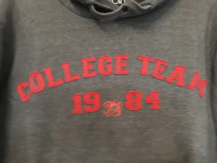 Sweat à capuche gris - photo numéro 2