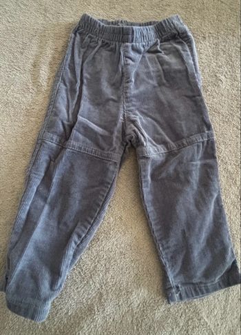 Pantalon velour côtelé 