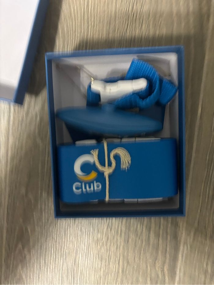 Essentiel voyage Costa croisière avion sangle valise - photo numéro 4